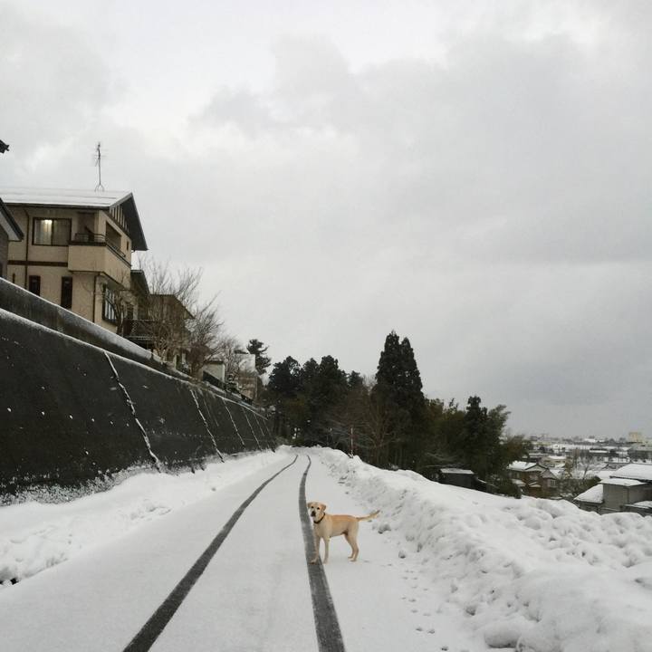 B3dc0427 ba08 4e2c b397 2d9a0ca711e5