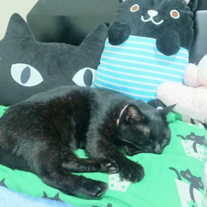 B3dc42c5 fea0 47d2 bdcd c350f334c4ee