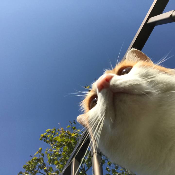 B3dc7f04 a87d 4285 9701 e3bd05f9461b