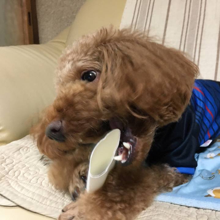 B3dc98ce b9a9 4459 be30 176db6b4e251