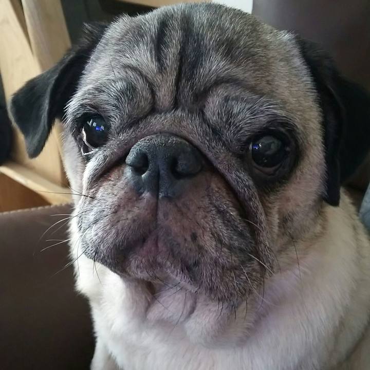 B3dc9ffc c634 4cfd b736 feb36416fd0c