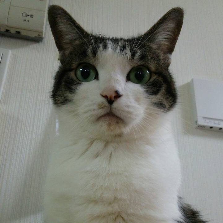 B3dcb630 5ede 42b6 8ba0 b6fa5b76308e