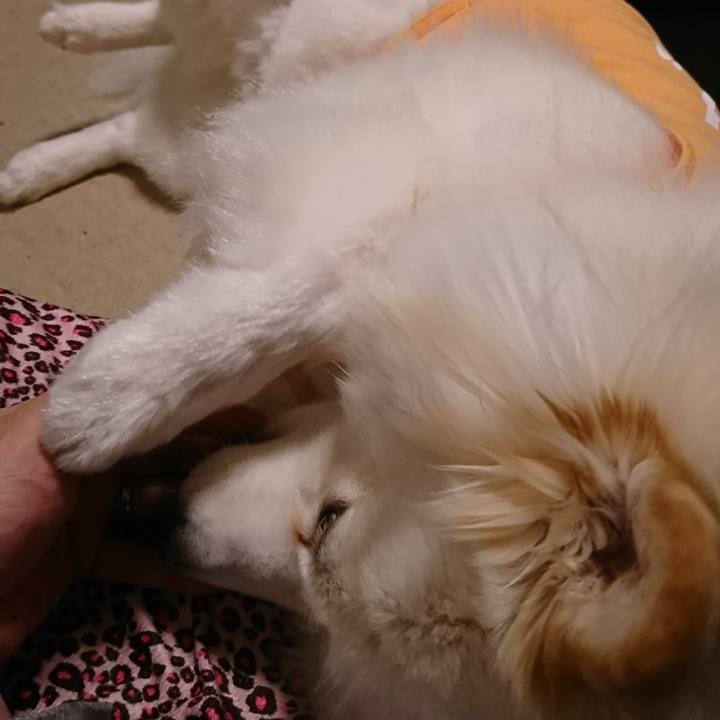 B3dcdb0a 1af9 40b8 babc 97e31cb40f22