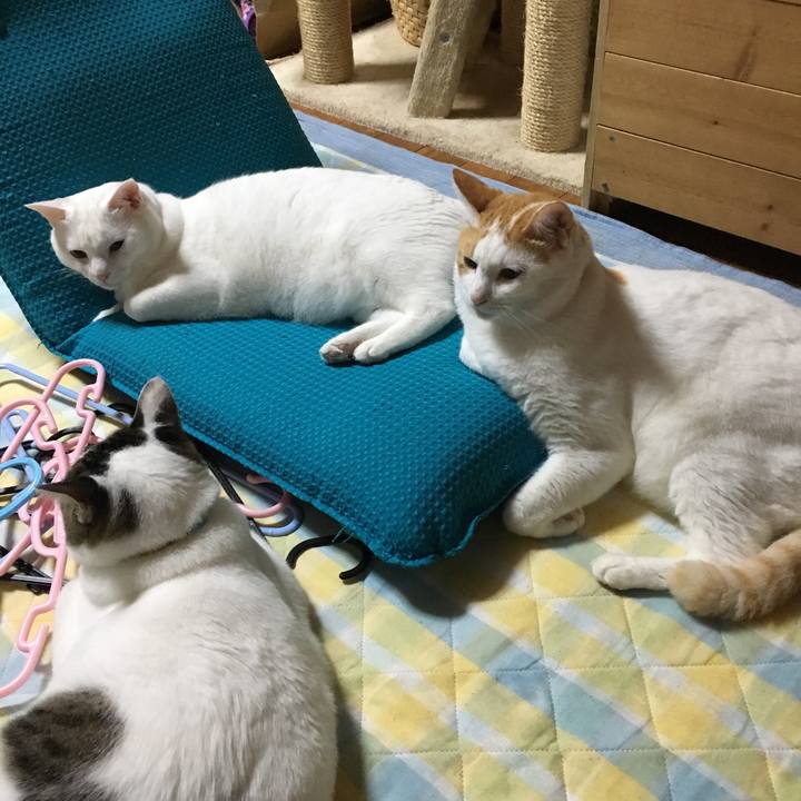 B3ddc3d3 1e4c 4eb3 9b9e 5dee719a80d1