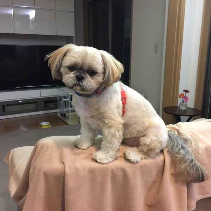 B3ddf55e 2b8e 4c92 8584 3f293280a5c7