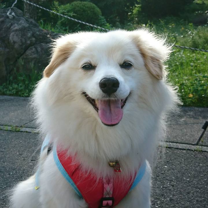 B3dea2eb 63cd 4200 8ec6 9736d91f8d41