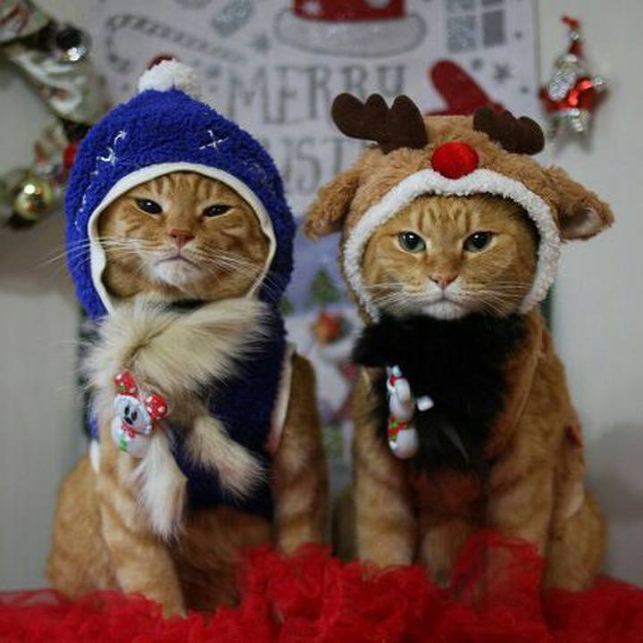 B3df0501 a3ab 4878 926f e7807b178e5d