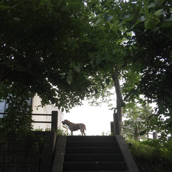 B3df7c86 d6ca 408a 8f3e 54de6ce97cef