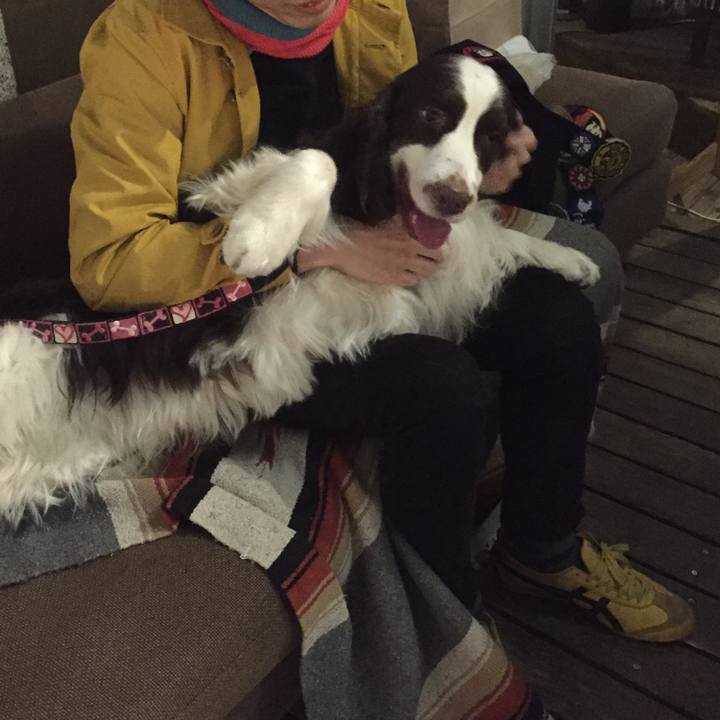 B3dfa356 f91e 4466 b68b ec70d5b627cb