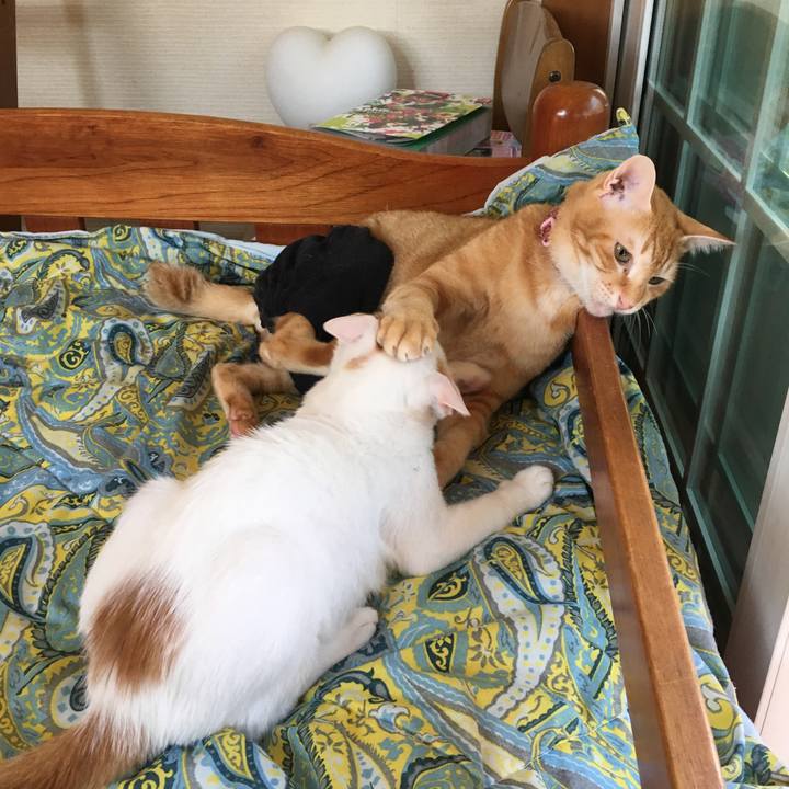 B3dff128 ad96 4609 a4b6 bdce5f87214a