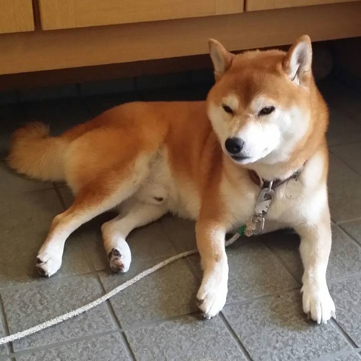 B3e03304 6180 418e bb10 c89842cfe687