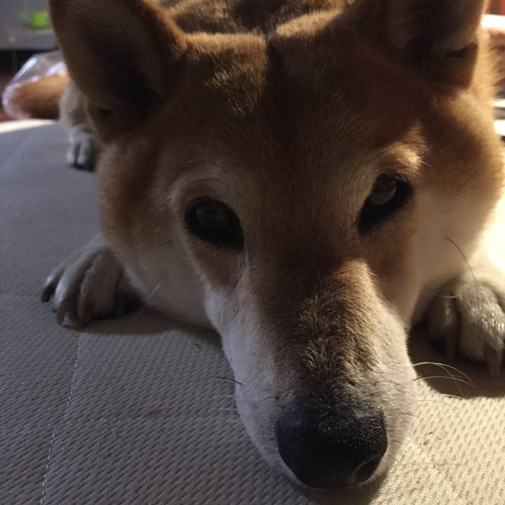 B3e0676a fc80 4e87 a5cf 11ffdbbe7236