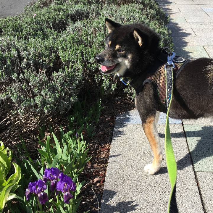 B3e09075 495b 4940 886a 13b7926c4247