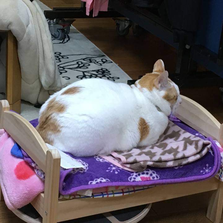 B3e091ec 4300 4afe bc0a 32142cc02f2a