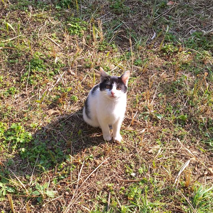 B3e1614f 9209 48b0 825e c3aec1bb58d7