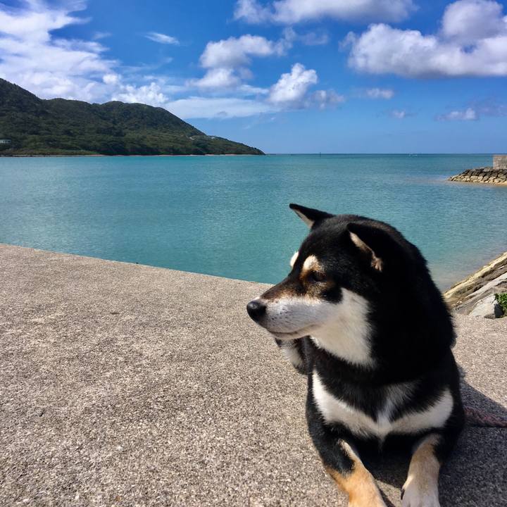 B3e2ca53 03f4 4f8d be2c 00e43c70f55c