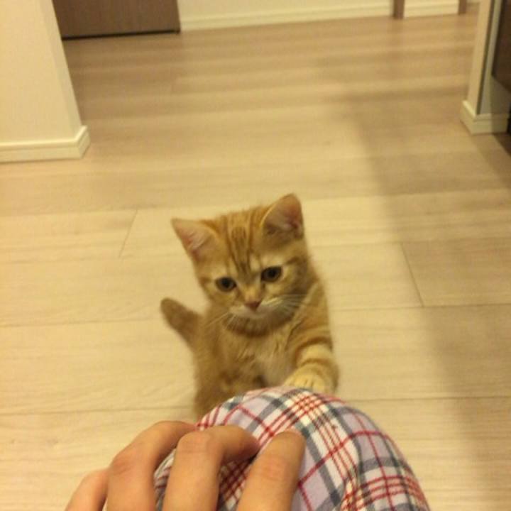 B3e31d17 bb31 4d78 b27e 09a5dac39978