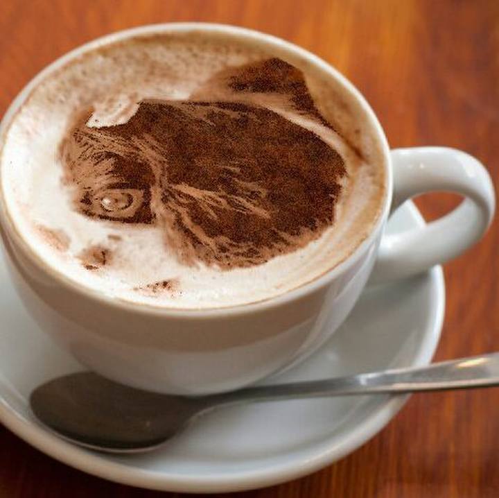 B3e34987 c800 4066 b8dc b1c26378abed