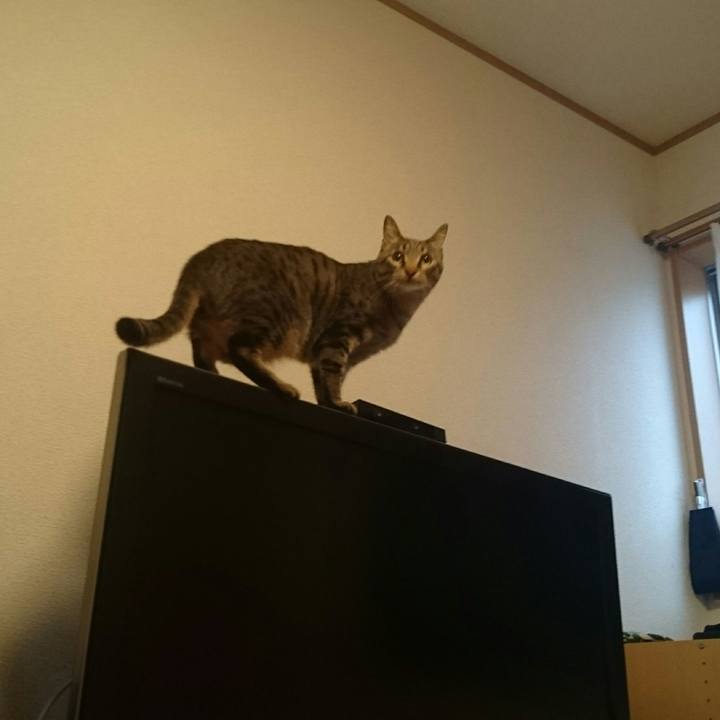 B3e367e4 6025 4754 b069 076ce460be7d