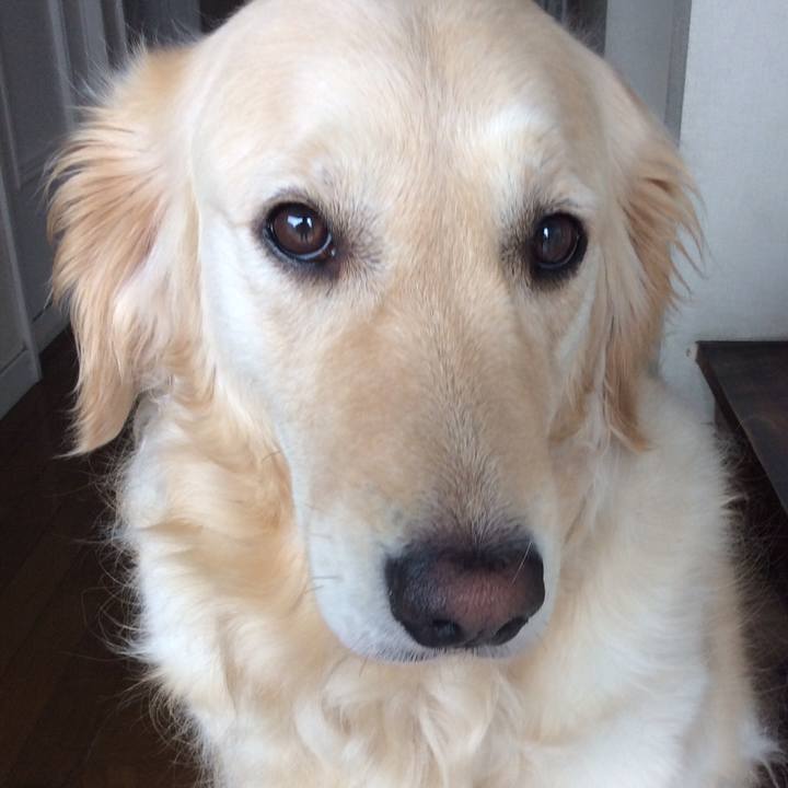 B3e3c780 8ac2 4e4f ac16 e45b0fe6c83f