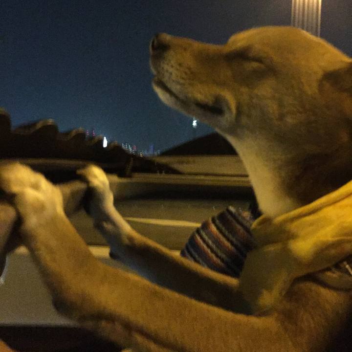 B3e3dee5 a669 4c19 b0ef ad2499cfcb61