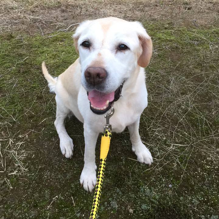 B3e40f6a 7ed9 4d1c 8373 2ffc95d7b196