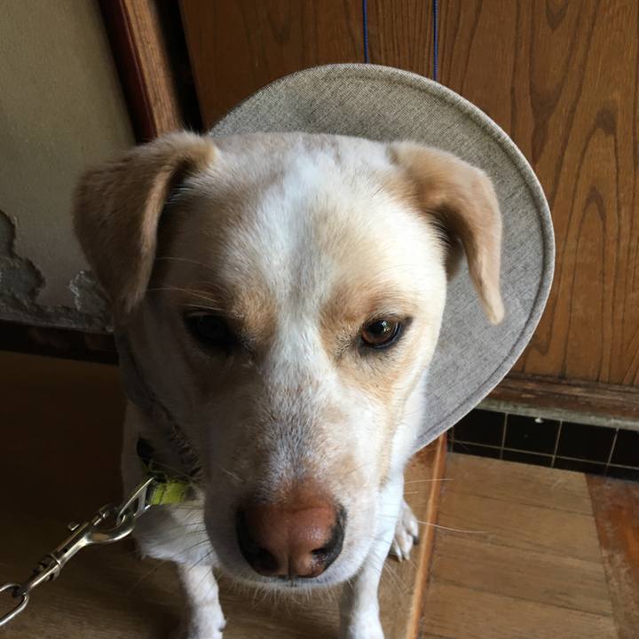 B3e41c44 2489 45b9 b914 941857f34219