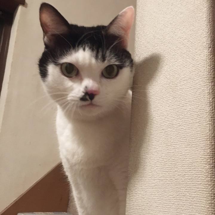 B3e4562c 3e61 4006 9e72 79f13ef15f89