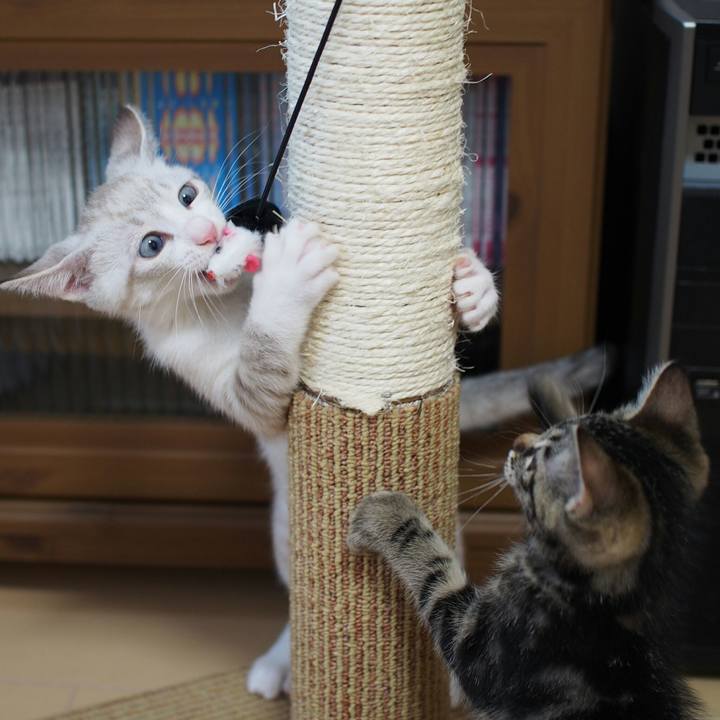 B3e4b885 06b1 478b afa5 802a73553c5e