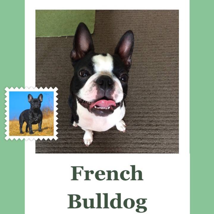 B3e5aecf 20f3 4e66 9229 c19498aea80a