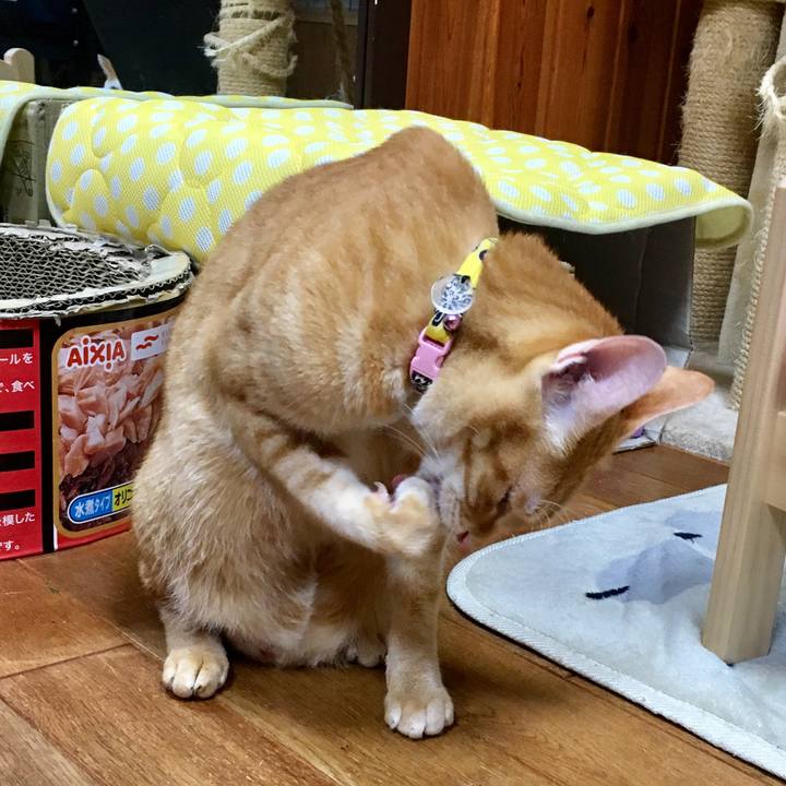 B3e5d005 18b8 4679 b601 ef1ed56d798b