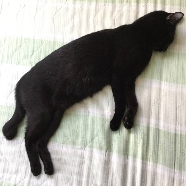 B3e676e3 79ce 46f6 bf4e 886a6358b8d8