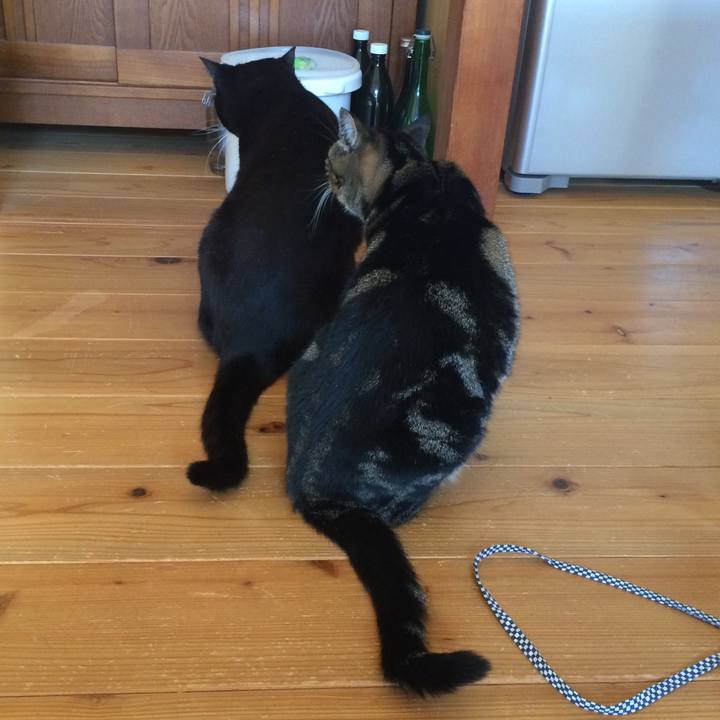 B3e6a796 d992 4932 b472 1d807301a5fb