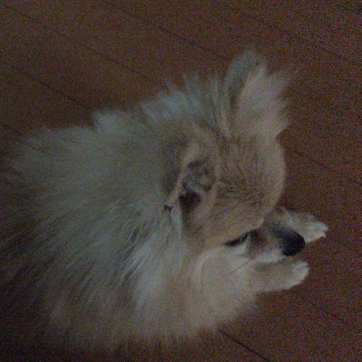 B3e762bb 0126 4337 973c e9a1a065adeb