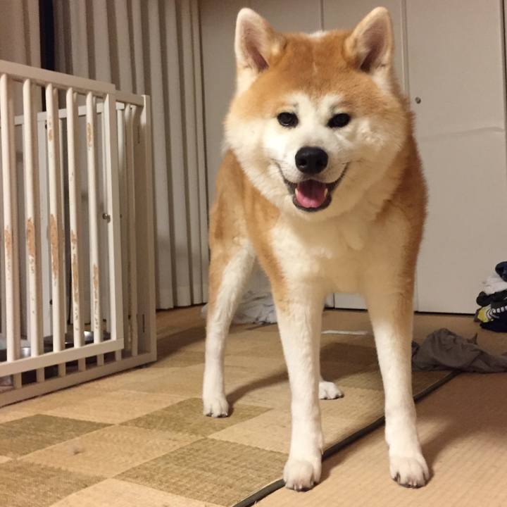 B3e77bec d8b8 4479 8047 d743dcf7baa6