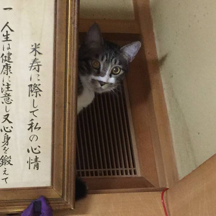 B3e83c0b 026d 4184 85db c1d72dda7143