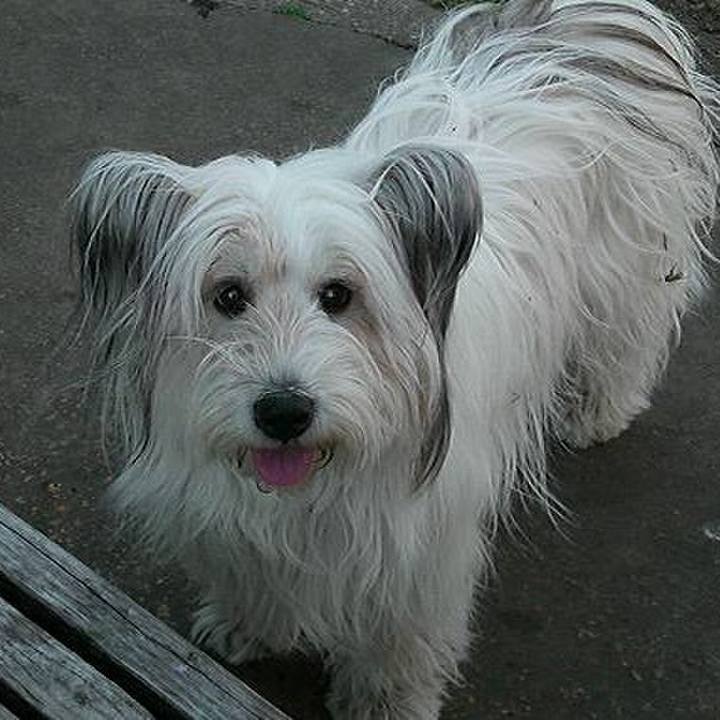 B3e92433 f776 4740 8076 192594411477