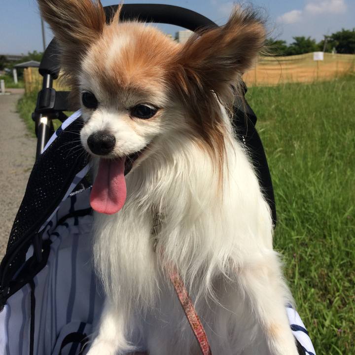 B3e9853e 802a 4718 a448 35bcfedbd374