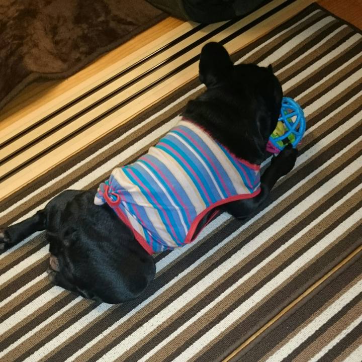 B3e9b6ad c7d3 4f39 b285 9613b604f229