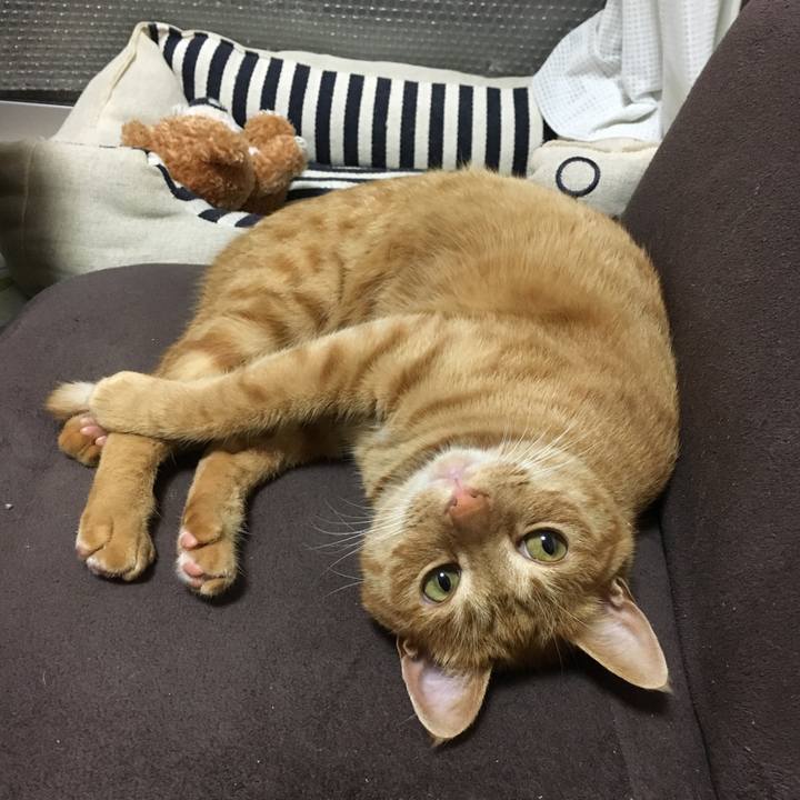 B3ea0625 2d01 442b 90bd 11d1ef7ab1ee