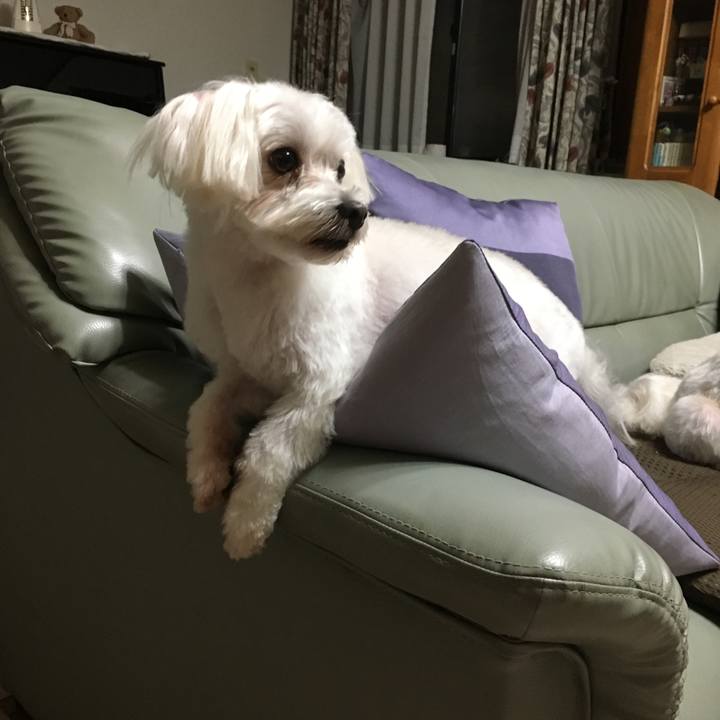 B3ea4c04 a8ae 4298 a7a3 ac514723feab