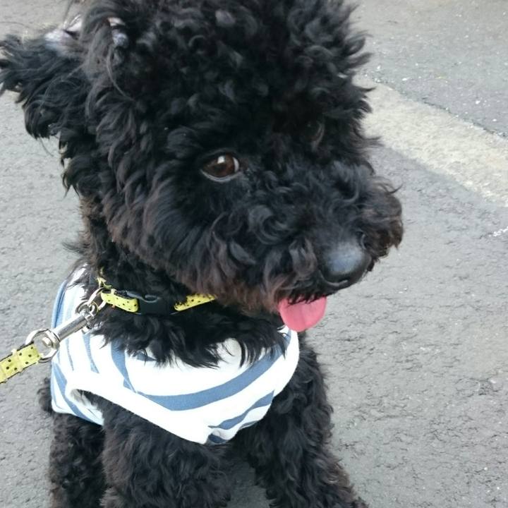 B3ea8592 e687 479a 8f43 4d76d18e6d91