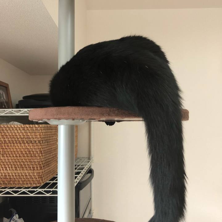 B3eb12ac fb86 4cbb 8bc0 0f389443289f