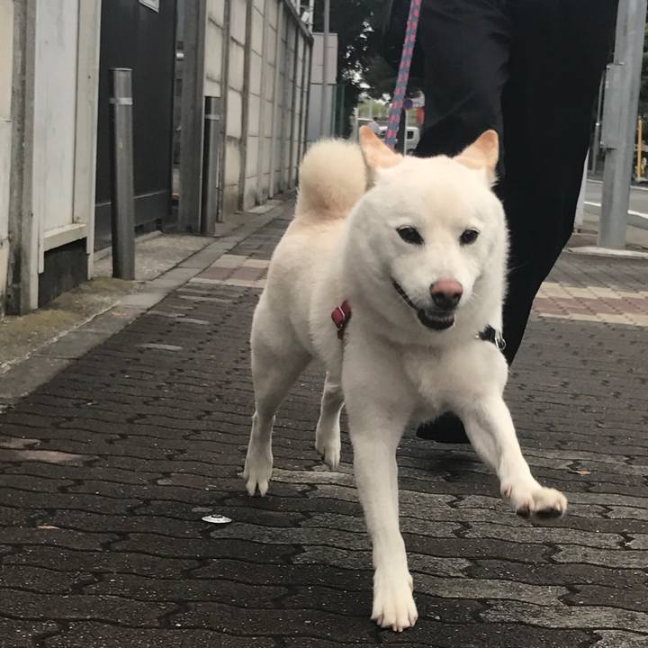 B3eb3830 6b29 42b4 88bb 5e809635b8d2