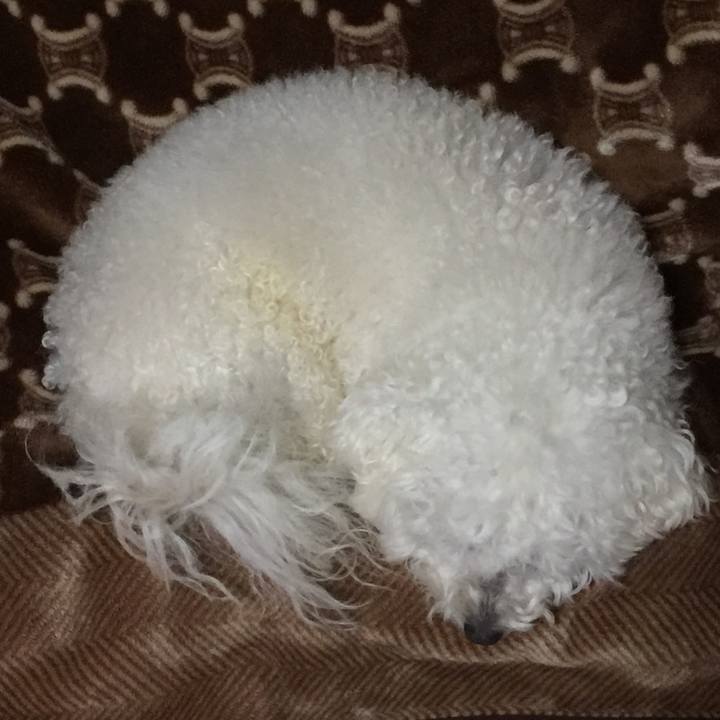 B3eb6feb df88 4541 a2b9 83b71574579d