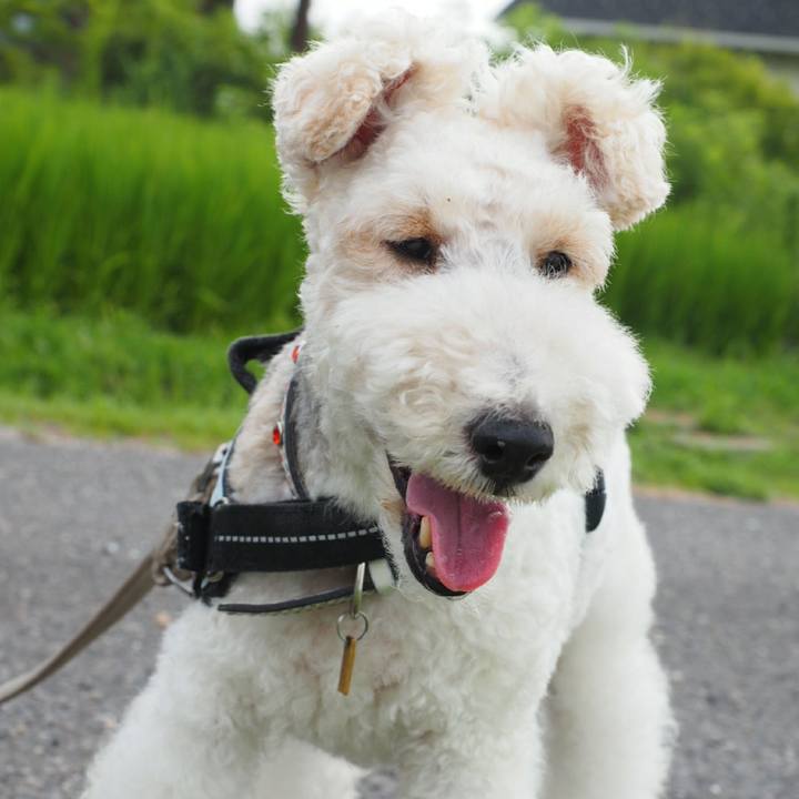 B3ec1089 6fc0 4ad4 88f4 22761b7b1380