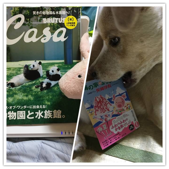 B3ec48d3 af58 4c0f 9451 b03d285d1293