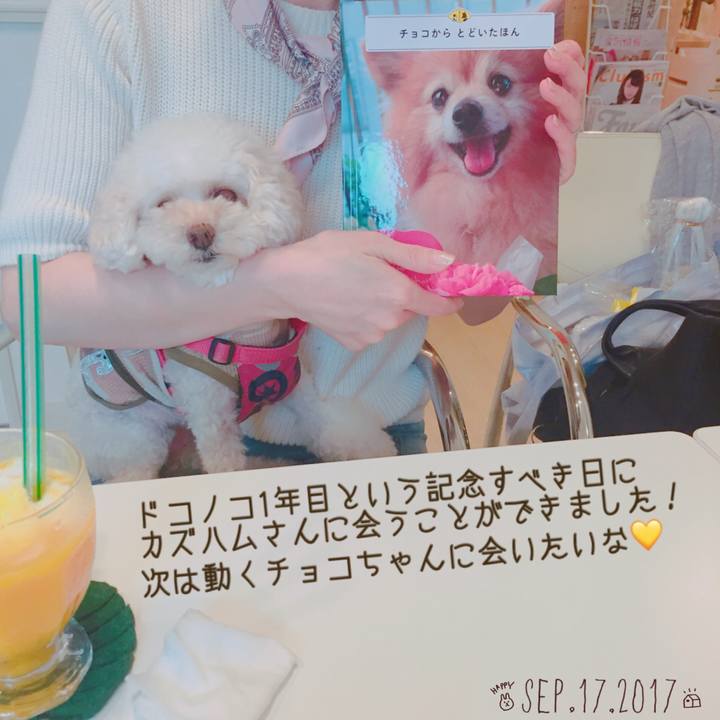 B3ec69eb 0a7b 4a5e 96c8 eb901b8be466