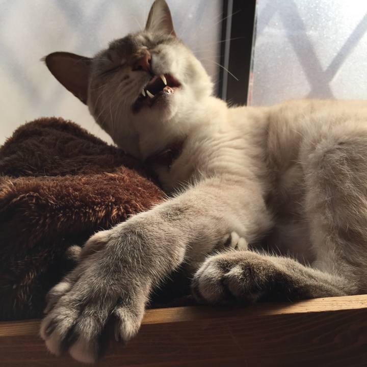 B3ec8c2b a7b1 4eae 81a2 f59abee3de4b