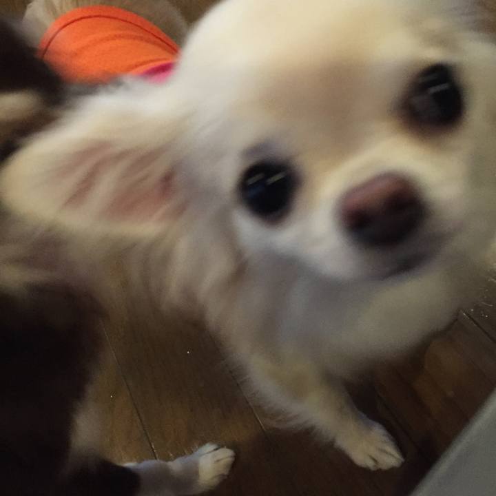 B3ed3ce1 19b6 4147 bf26 b13d3f34308b